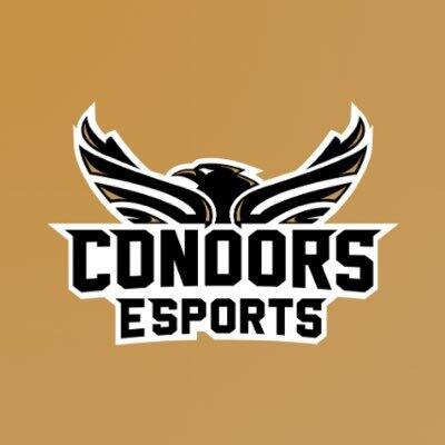 Condors Esports