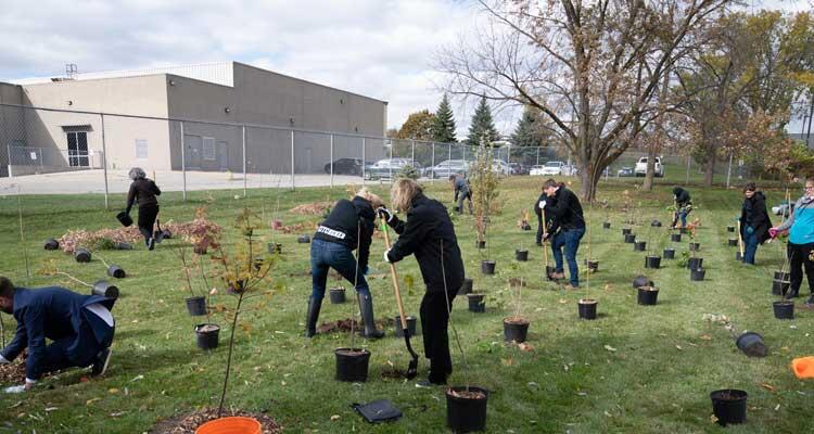 Feature story banner
